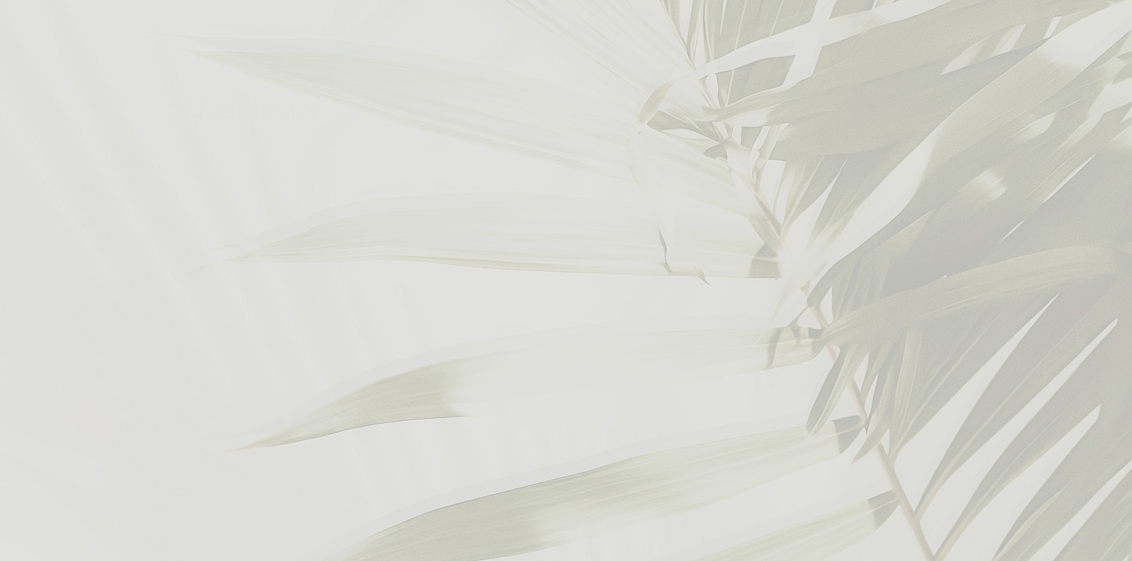 Faint palm leaves against a light background.