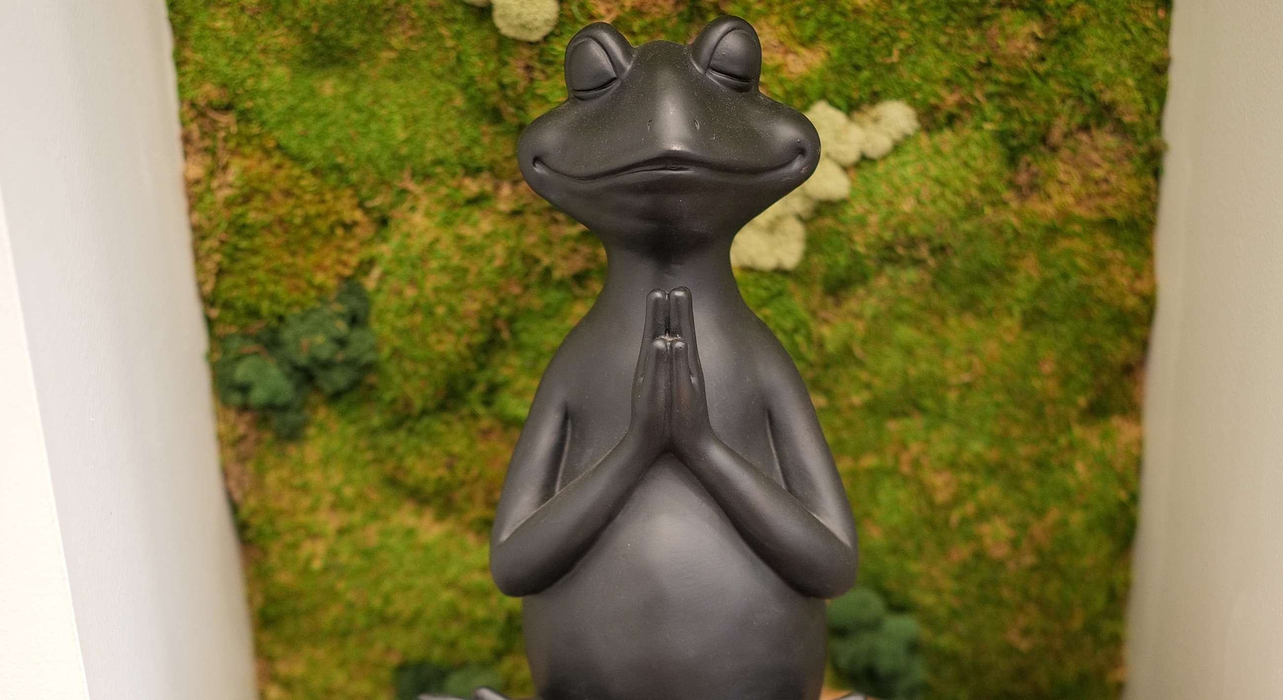 Black frog statue with hands in prayer position.
